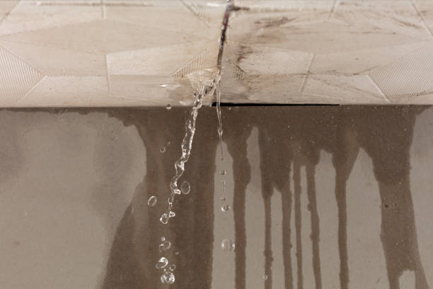 Professional Burst Pipe Cleanup technician working in Oak Harbor, OH